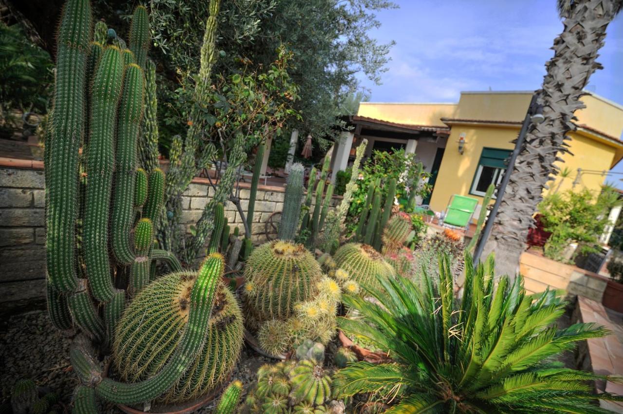 Donna Caterina House, Autentica Oasi Di Confort E Relax Nel Cuore Della Sicilia Pietraperzia Exterior photo