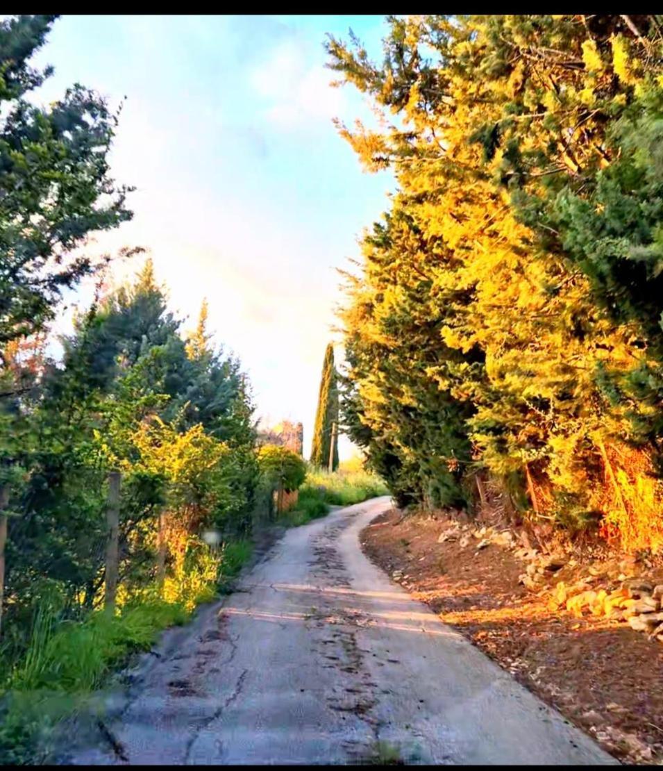Donna Caterina House, Autentica Oasi Di Confort E Relax Nel Cuore Della Sicilia Pietraperzia Exterior photo